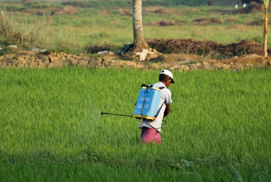 man in white t-shirt and blue denim shorts with blue backpack walking on green grass